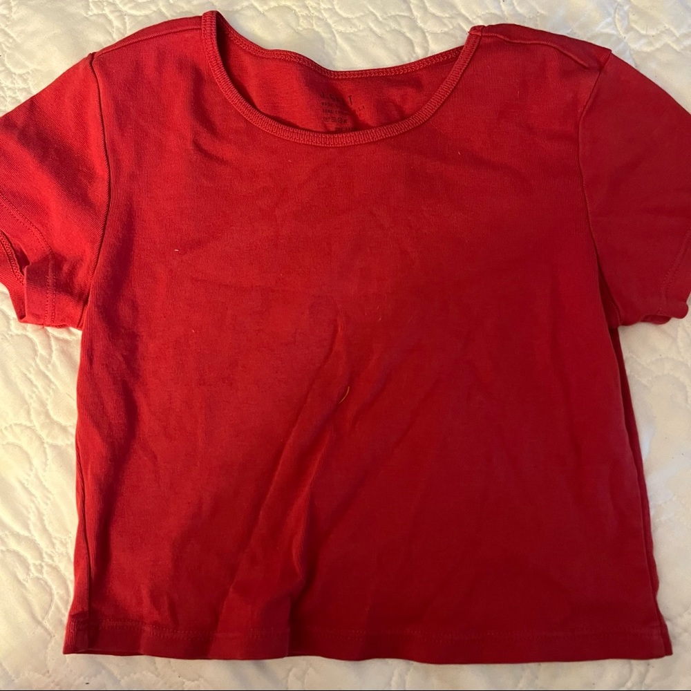Brandy Melville Crop Top
